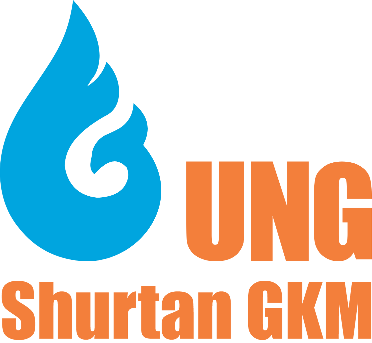 внедрение 1с erp в shurtan