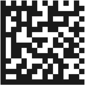 код маркировки товара data matrix для системы asl belgisi